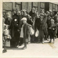 Фотография из Лагеря Освенцим. Источник: yadvashem.org