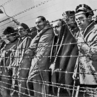 Источник: bigenc.ru