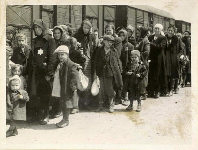 Фотография из Лагеря Освенцим. Источник: yadvashem.org