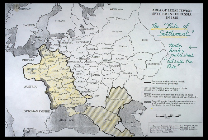 Фото дня