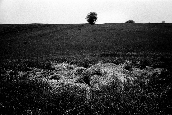 © Ansgar Gilster