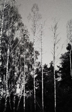 © Ansgar Gilster