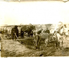 Фото дня