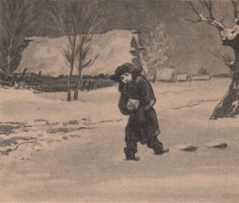 Фото дня