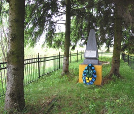 Фото дня