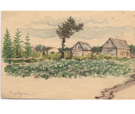 Фото дня